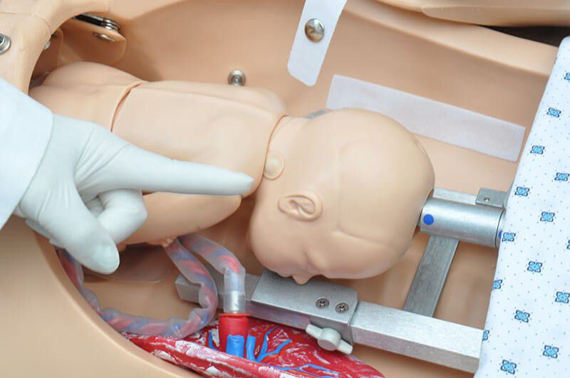 NOELLE Birth Simulator with PEDI Blue Neonate – Medical Supplies