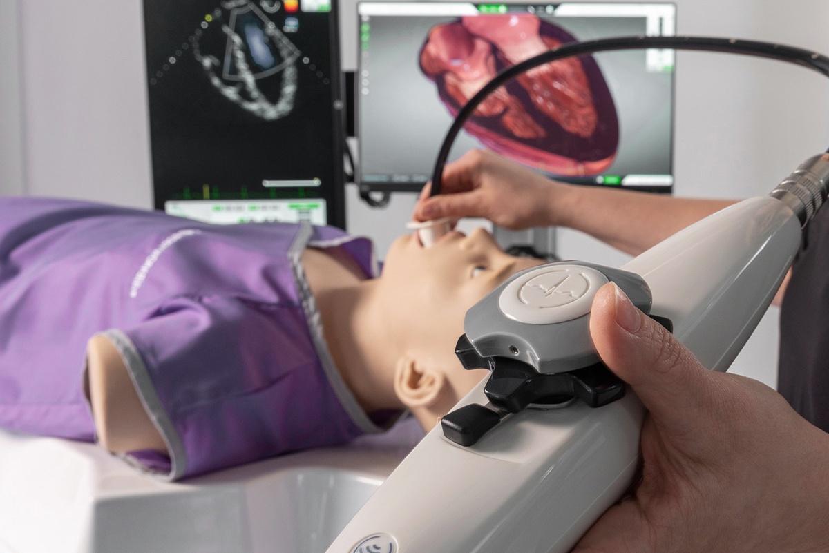 simulador para ecocardiografía ete y ett