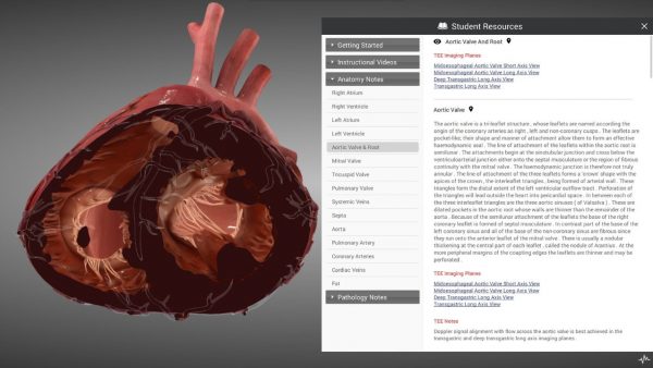 SIMULADOR PARA ECOCARDIOGRAFIA ETE Y ETT