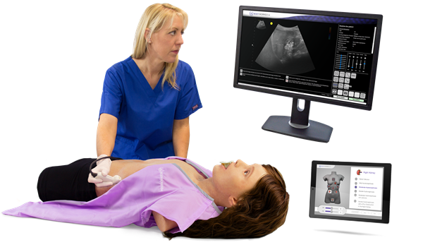 Ultrasound Simulator, Healthcare Simulation