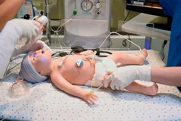 Noelle Educational Birthing Simulator