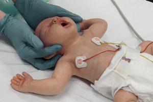 Simulador ultrarrealista neonato a término