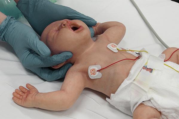 Simulador ultrarrealista recién nacido