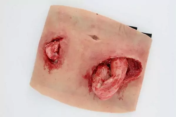 Sleeve with double gut evisceration | More Than Simulators