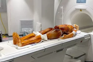 Fantoma adulto de cuerpo completo para radiología
