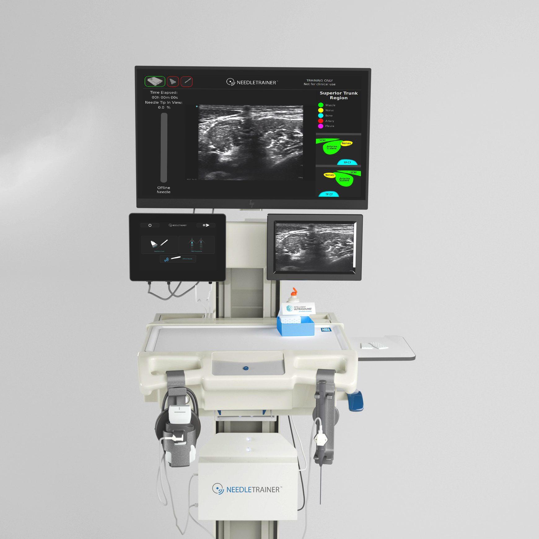 EUDDOO Life Size Human Skull Model - 3-Part Numbered Anatomy Skull With Teeth